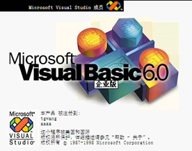 VB开发技术｜Visual Basic 集成开发环境的元素