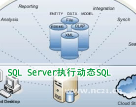 MsSQL技术｜详解SQL Server执行动态SQL两种正确方式