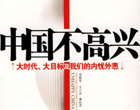 文章资源｜2009十大畅销图书推荐之九：《中国不高兴》