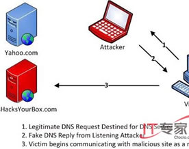 安全防护技术｜解析中间人攻击之二：DNS欺骗