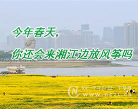 书院印象｜寒雨连：今年春天，你还会来湘江边放风筝吗