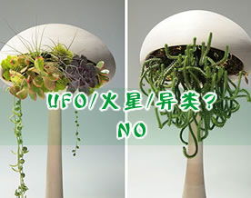图说新创意｜是UFO或火星还是什么异类？NO，是花盆！