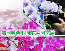 图绘新生活｜“乱花渐欲迷人眼”：国际花卉园艺展在沪开幕