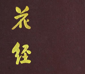 阅读文库｜2025年普通高考语文真题试卷（新高考一卷），一、阅读，（一）阅读Ⅰ，种植入门问答