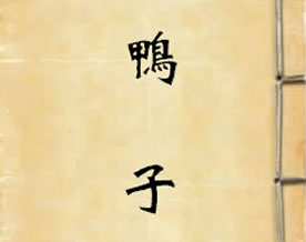 现当代名著｜沈从文：鸭子