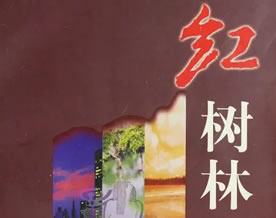 现当代名著｜莫言：红树林