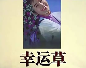 现当代名著｜琼瑶：幸运草