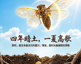 阅读理解｜四年暗土，一夏高歌——法布尔《昆虫记》材料作文优秀范文